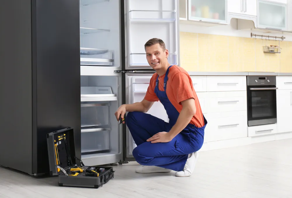 Kemalpaşa Philips buzdolabı servisi teknisyen